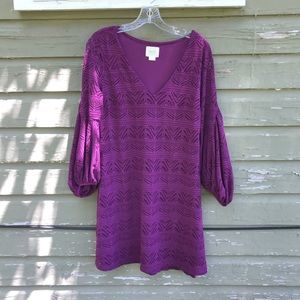 Purple Anthropologie Maeve Embroidered Dress S